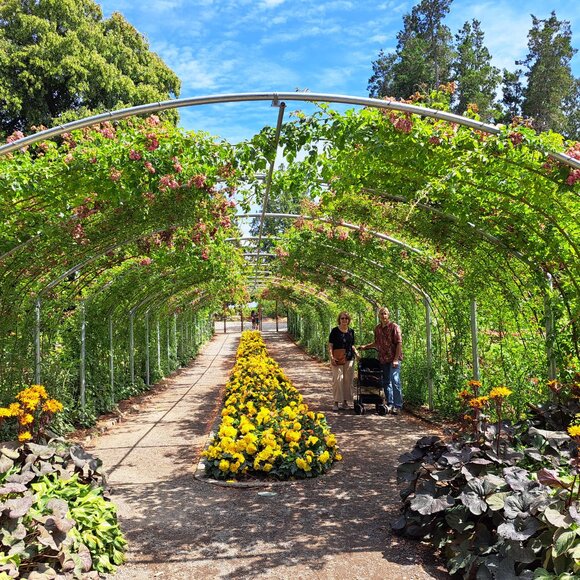 Closet Closing Announcement - Picture 12 of 13